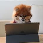 joshtechsolutions Profile Picture